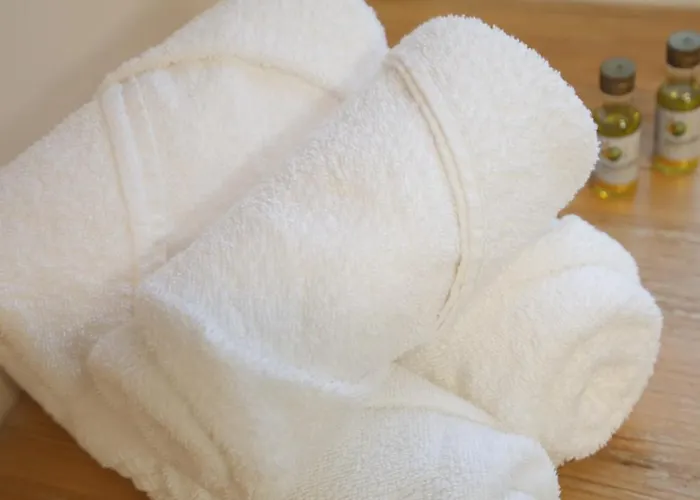 לינה וארוחת בוקר Perbos 1556 La Bastide-Clairence